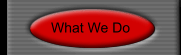 What We Do