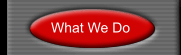 What We Do